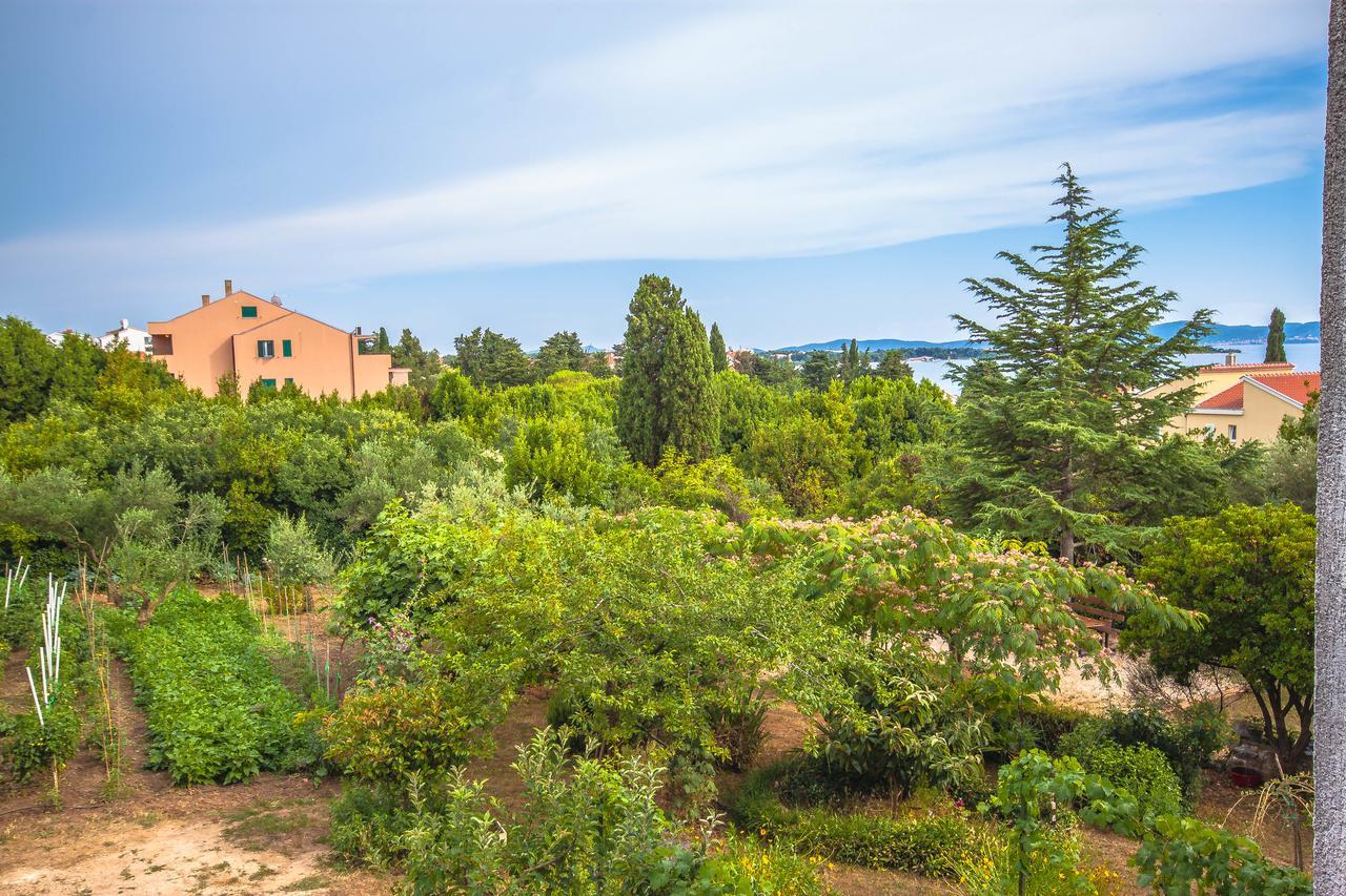 Apartment Amelie Zadar